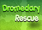 Dromedary Rescue